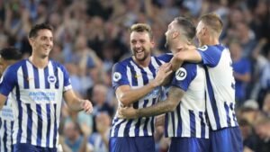 câu lạc bộ bóng đá brighton & hove albion